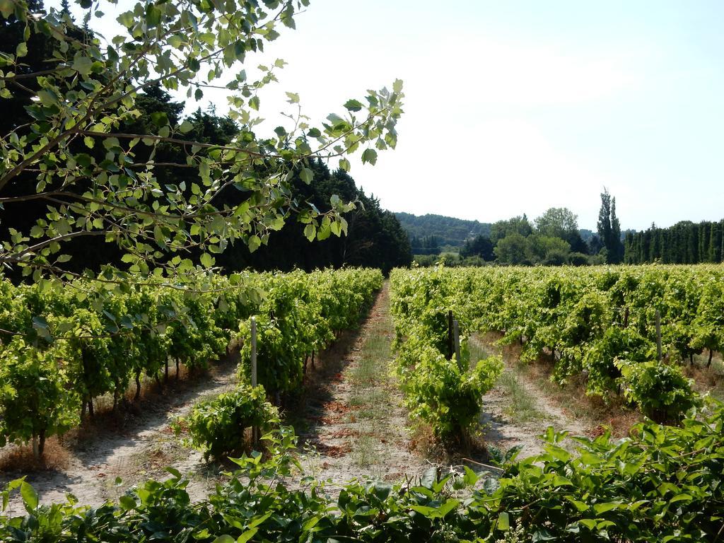 Hotel Domaine De Blanche Fleur Châteauneuf-de-Gadagne Zewnętrze zdjęcie