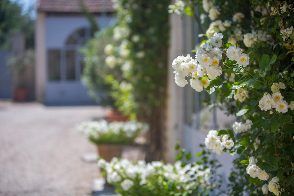 Hotel Domaine De Blanche Fleur Châteauneuf-de-Gadagne Zewnętrze zdjęcie