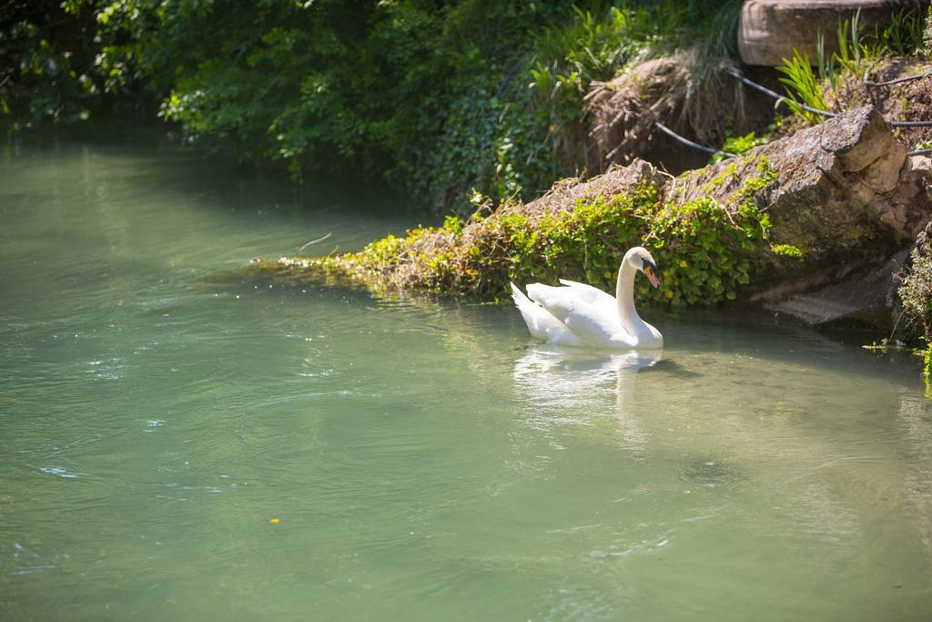 Hotel Domaine De Blanche Fleur Châteauneuf-de-Gadagne Zewnętrze zdjęcie